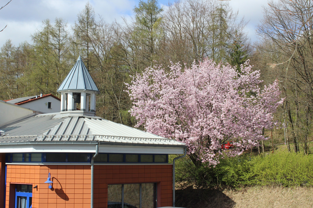 Orthopädische Klinik Hessisch Lichtenau – Lichtenau Kapelle Orthopädische Klinik Hessisch Lichtenau - Lichtenau Kapelle